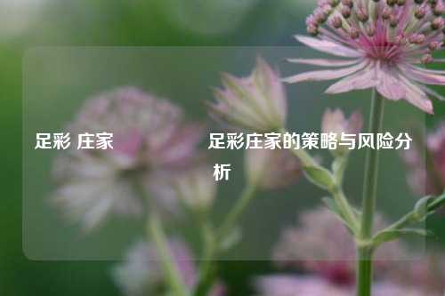 足彩 庄家🎖️足彩庄家的策略与风险分析