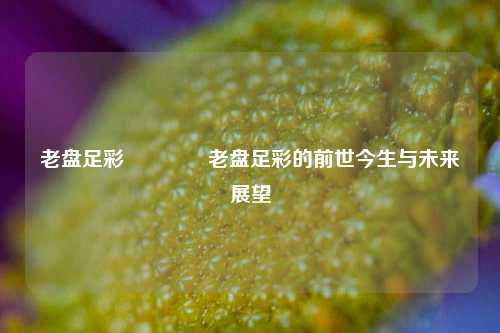 老盘足彩👈老盘足彩的前世今生与未来展望