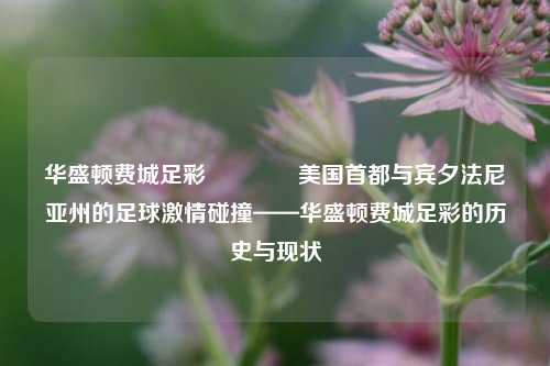 华盛顿费城足彩👍美国首都与宾夕法尼亚州的足球激情碰撞——华盛顿费城足彩的历史与现状