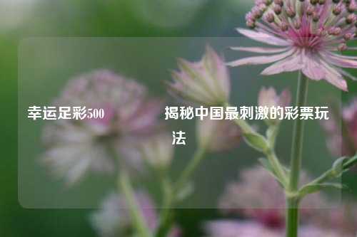 幸运足彩500🥇揭秘中国最刺激的彩票玩法