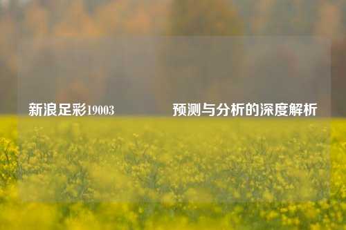 新浪足彩19003👈预测与分析的深度解析