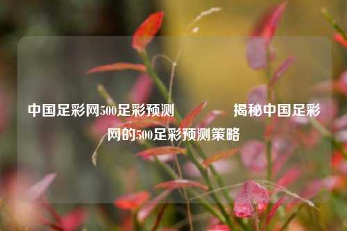 中国足彩网500足彩预测🏅揭秘中国足彩网的500足彩预测策略