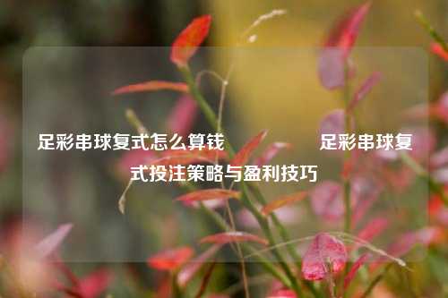 足彩串球复式怎么算钱🎖️足彩串球复式投注策略与盈利技巧