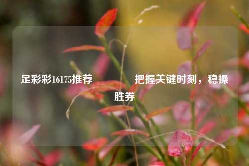 足彩彩16175推荐🏆把握关键时刻，稳操胜券
