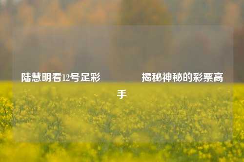 陆慧明看12号足彩👍揭秘神秘的彩票高手