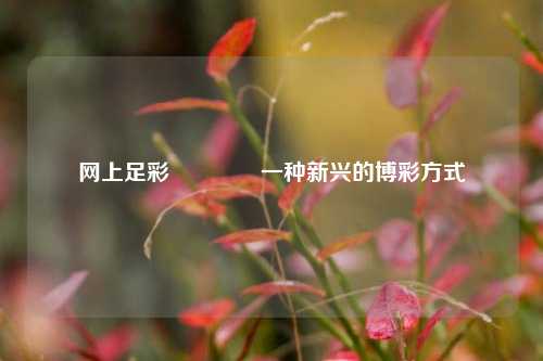 网上足彩👉一种新兴的博彩方式
