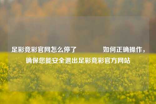 足彩竞彩官网怎么停了🥉如何正确操作，确保您能安全退出足彩竞彩官方网站
