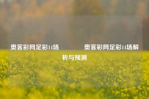 奥客彩网足彩14场🌈奥客彩网足彩14场解析与预测
