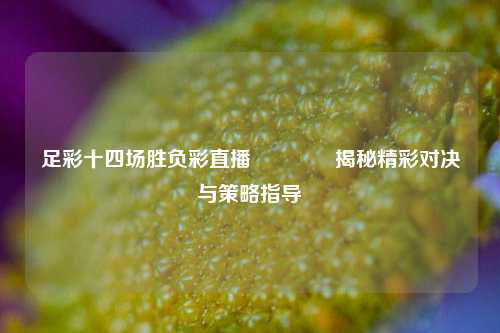 足彩十四场胜负彩直播🏆揭秘精彩对决与策略指导