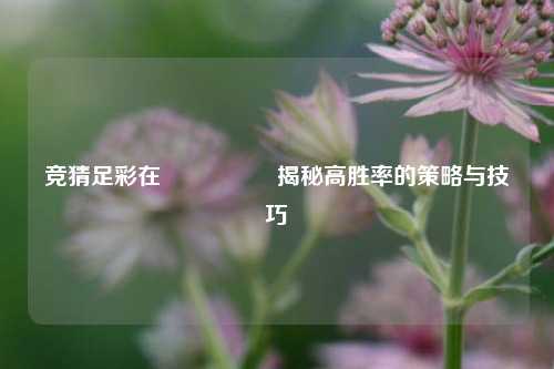 竞猜足彩在🎖️揭秘高胜率的策略与技巧