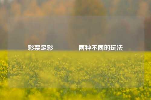 彩票足彩🥇两种不同的玩法