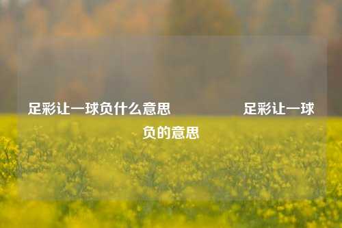 足彩让一球负什么意思🎖️足彩让一球负的意思