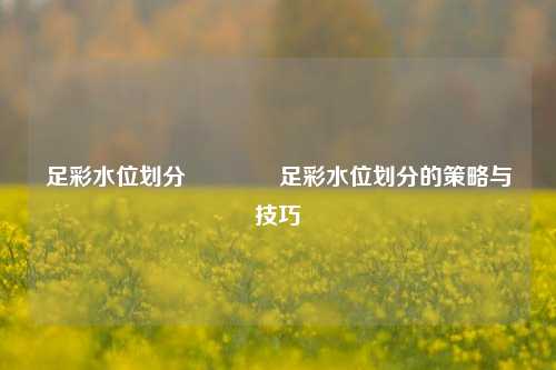 足彩水位划分🥈足彩水位划分的策略与技巧