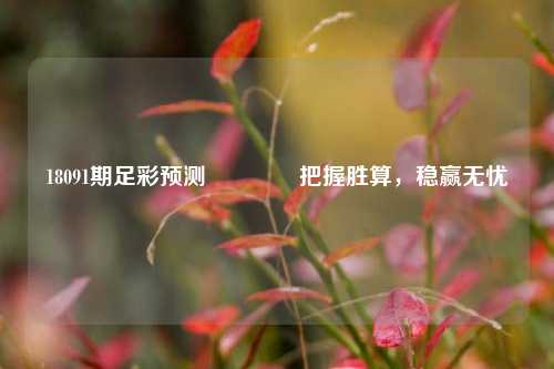 18091期足彩预测🌈把握胜算，稳赢无忧