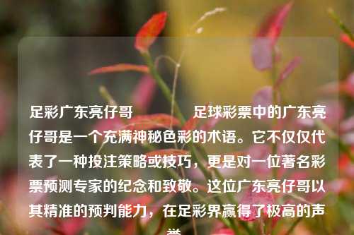足彩广东亮仔哥👍足球彩票中的广东亮仔哥是一个充满神秘色彩的术语。它不仅仅代表了一种投注策略或技巧，更是对一位著名彩票预测专家的纪念和致敬。这位广东亮仔哥以其精准的预判能力，在足彩界赢得了极高的声誉。