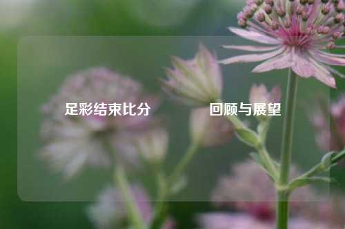 足彩结束比分👈回顾与展望
