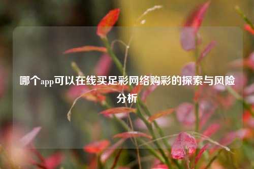 哪个app可以在线买足彩网络购彩的探索与风险分析