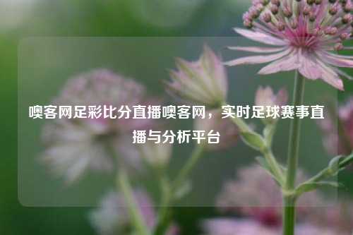 噢客网足彩比分直播噢客网，实时足球赛事直播与分析平台