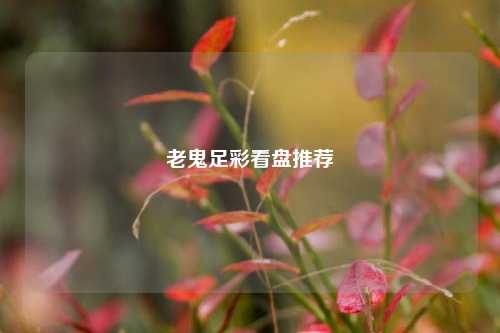 老鬼足彩看盘推荐