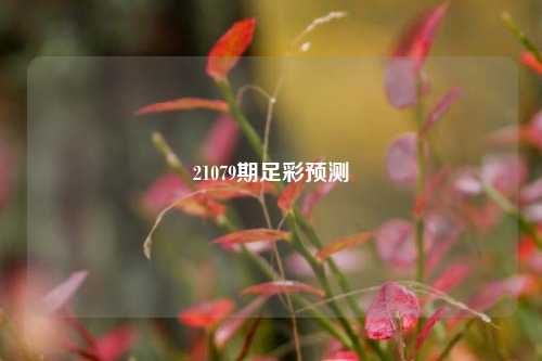 21079期足彩预测