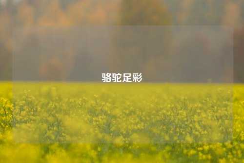 骆驼足彩