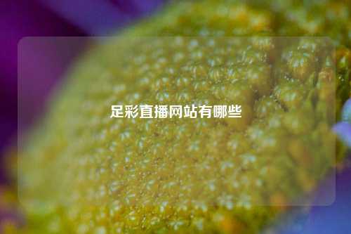 足彩直播网站有哪些