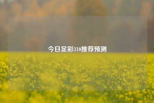 今日足彩310推荐预测