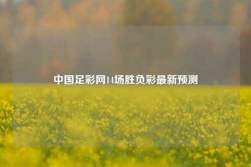 中国足彩网14场胜负彩最新预测