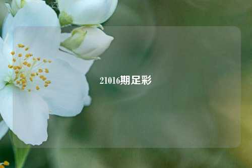 21016期足彩