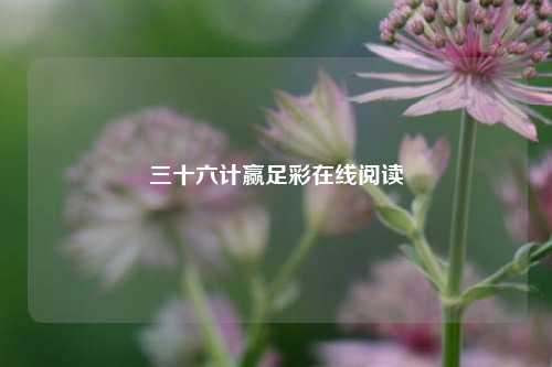 三十六计赢足彩在线阅读