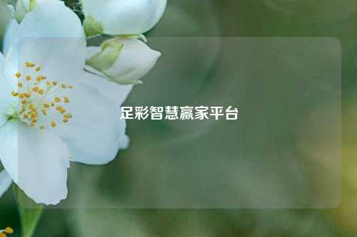 足彩智慧赢家平台