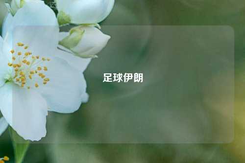 足球伊朗