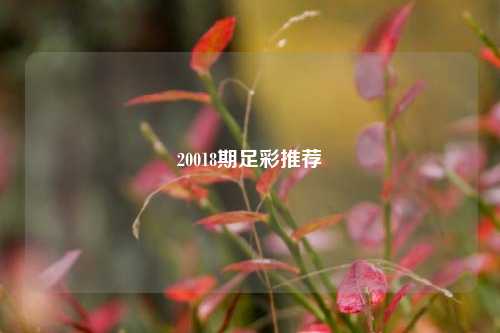20018期足彩推荐