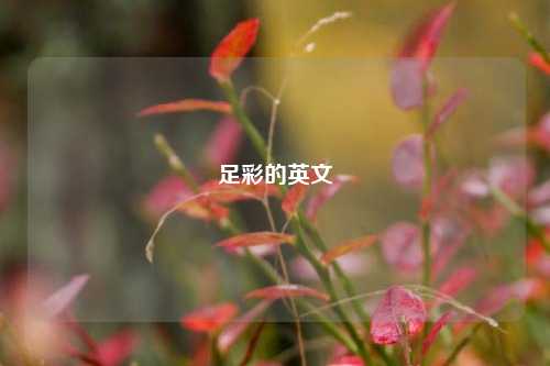 足彩的英文