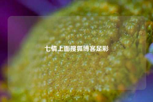七情上面搜狐博客足彩
