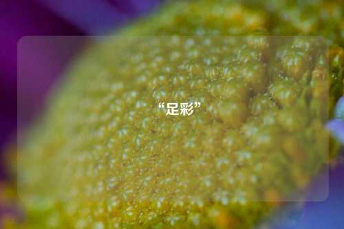 “足彩”
