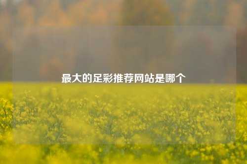 最大的足彩推荐网站是哪个