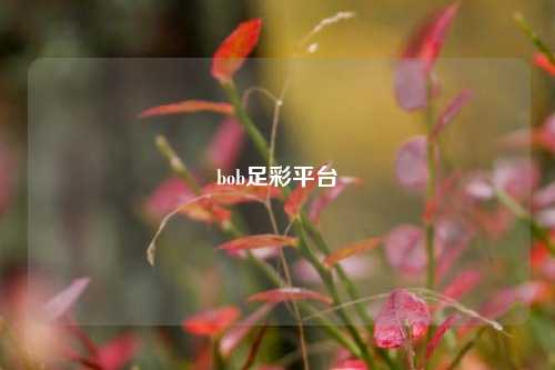 bob足彩平台