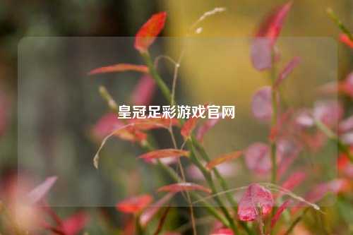 皇冠足彩游戏官网