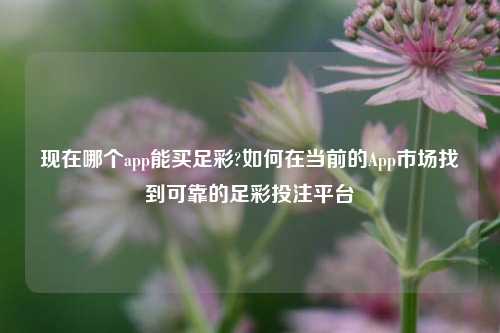 现在哪个app能买足彩?如何在当前的App市场找到可靠的足彩投注平台