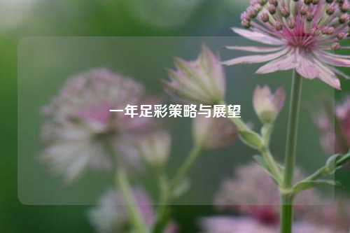 一年足彩策略与展望