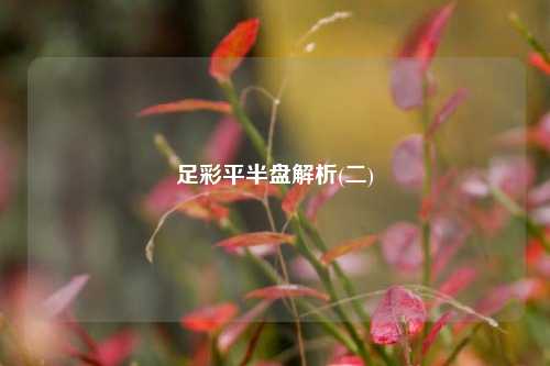 足彩平半盘解析(二)