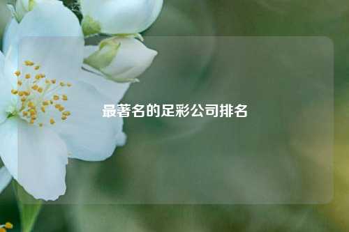 最著名的足彩公司排名