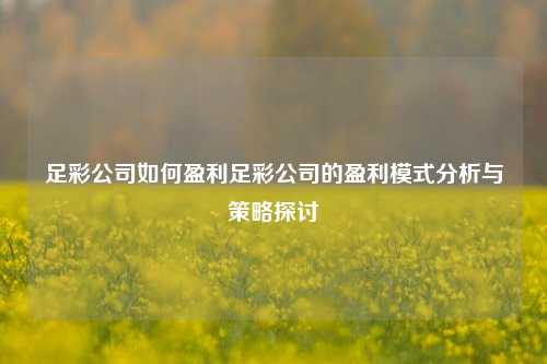 足彩公司如何盈利足彩公司的盈利模式分析与策略探讨