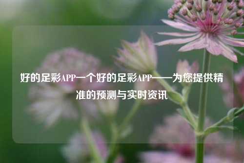 好的足彩APP一个好的足彩APP——为您提供精准的预测与实时资讯