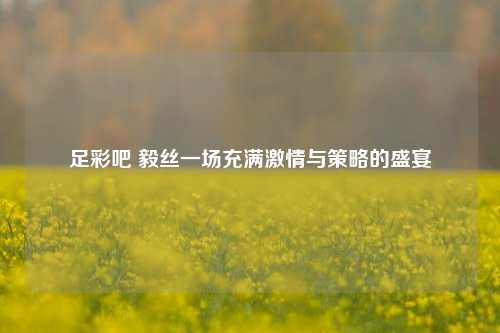 足彩吧 毅丝一场充满激情与策略的盛宴