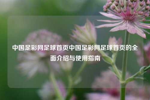中国足彩网足球首页中国足彩网足球首页的全面介绍与使用指南