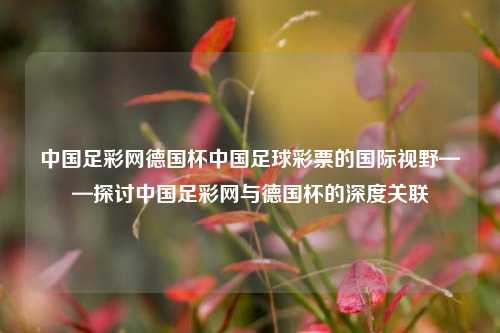 中国足彩网德国杯中国足球彩票的国际视野——探讨中国足彩网与德国杯的深度关联