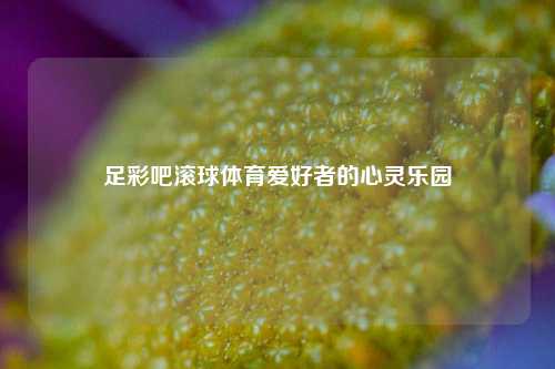 足彩吧滚球体育爱好者的心灵乐园