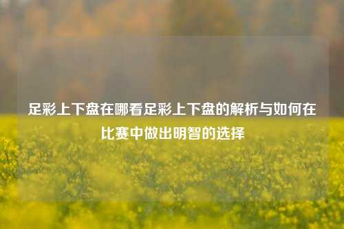 足彩上下盘在哪看足彩上下盘的解析与如何在比赛中做出明智的选择